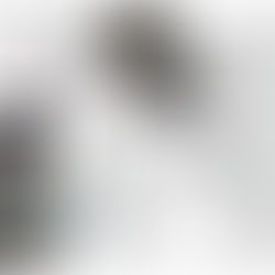 Österreich: Filmbesprechungen von MARTIN MARGIELA - MYTHOS DER MODE