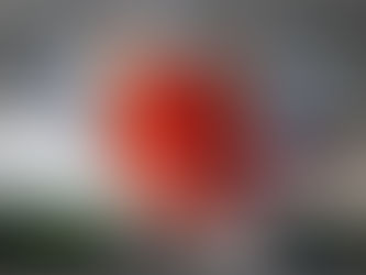 Fiery red dragon face with intense eyes and sharp teeth; background is motion-blurred, creating a dynamic, fierce mood.