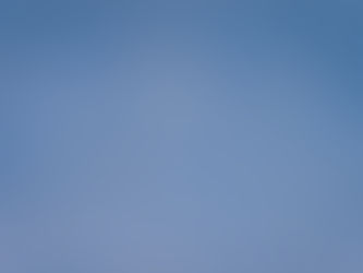 Five Little Terns soar in a clear blue sky, evoking a sense of freedom and tranquility.