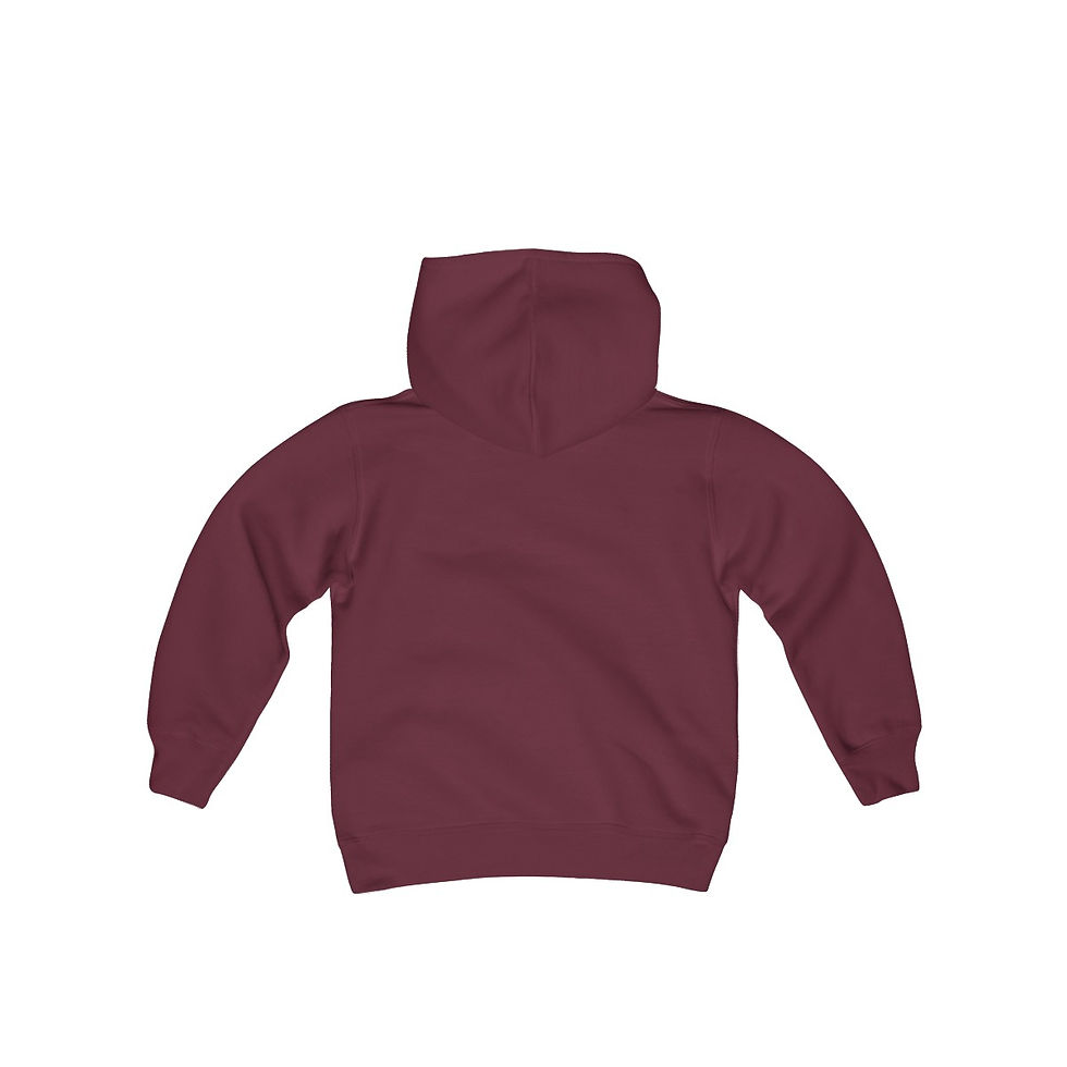 Thumbnail: NAM Youth Hooded Sweatshirt 