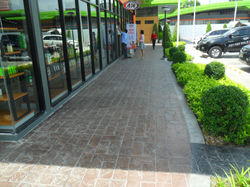 SAM_0413 - Copy.JPG