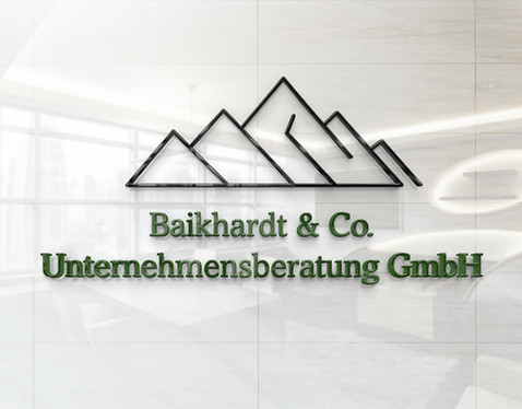 Baikhardt & Co Unternehmensberatung GmbH Mockup.jpg
