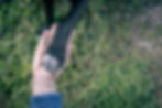 Tierenergetik Pfeiffer_header.jpg