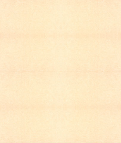 Kopie von Papier Background.jpg