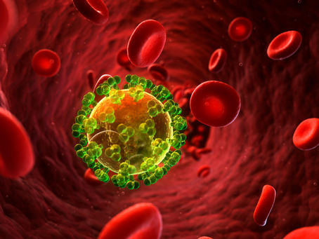 What Every Vegetarian Should Know; The Silent Impact of Low Iron