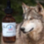 American Kudzu Timber Wolf Beard Oil