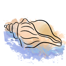Watercolor Shell.png