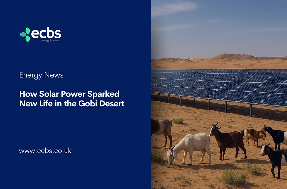 How Solar Power Sparked New Life in the Gobi Desert