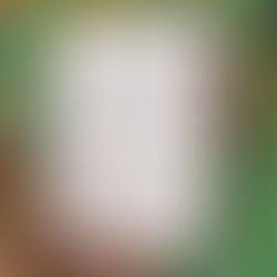 女声コンサートにむけて