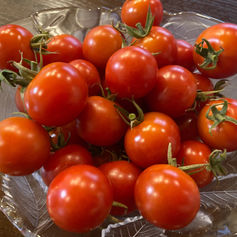 トマトパワー🍅