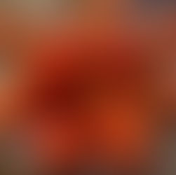 トマトパワー🍅