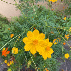 スポーツの秋と美味しい秋