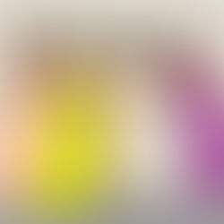 フォレスタ ぶんさんスペシャル