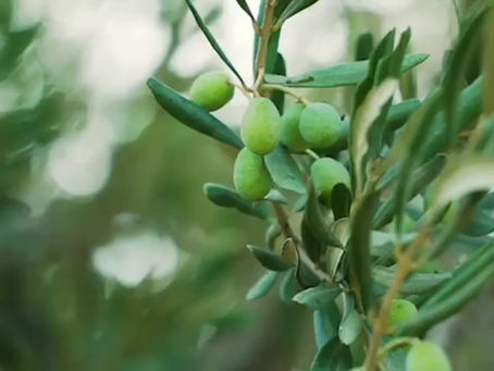 Her Güne Güzel Başlamak…