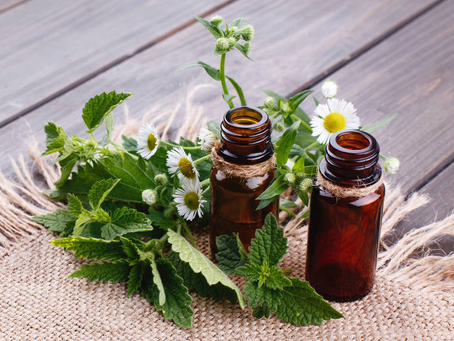 Aromaterapia: A área de atuação ainda pouco conhecida na clÃnica farmacêutica