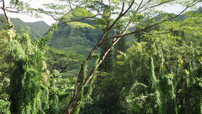 5 EASY ways to be more eco friendly while traveling!