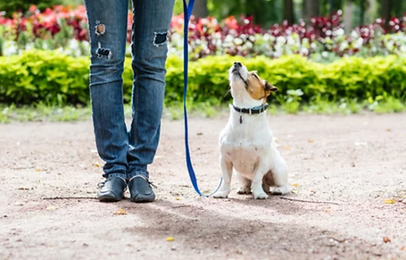 Screenshot 2024-07-09 115349.png