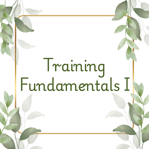 Training Fundamentals I
