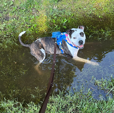 sit happens_edited.jpg