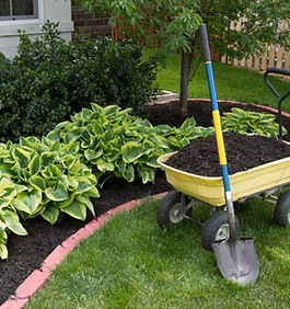 mulch.jpg