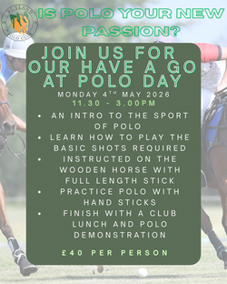 Join Us For Our Have A Go At Polo Day 3