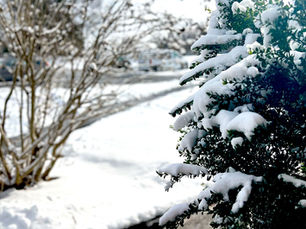 Connecticut refuerza su lucha contra el cambio climático: Propuesta legislativa 2025