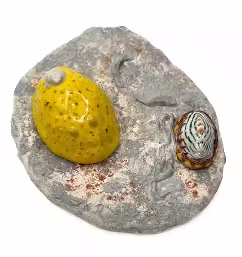 "Under The Waves" Art Exhibition Open House