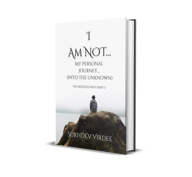 I Am Not...: My Personal Journey... (into the Unknown)