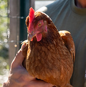 A7R07405_edited.jpg