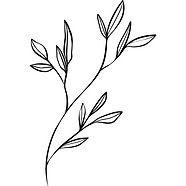 A leaf branch
