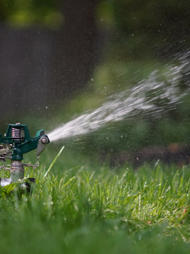 Lawn Care Solution: Vital Tips for a Rich and Green Grass
