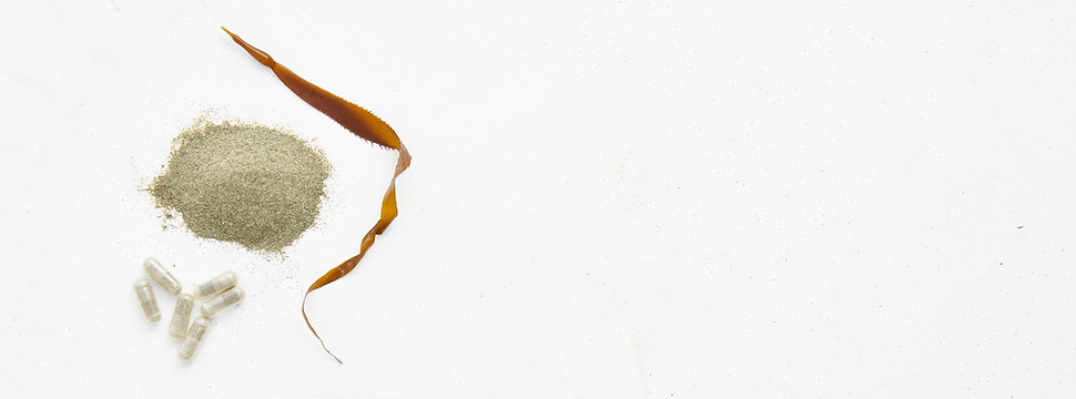 Freeze Dried Kelp Powder