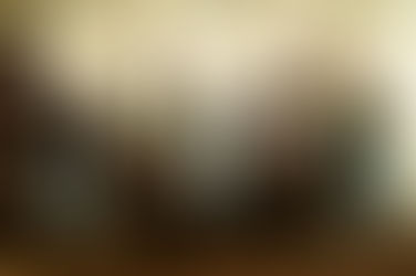 Reformationskolumne Nr. 15