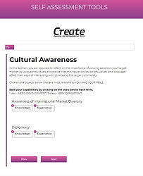 SA CREATE screenshot2.jpg