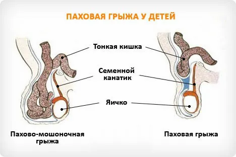 c7a9fd5e-61d8-4daf-b7b3-cea31d73b898.web