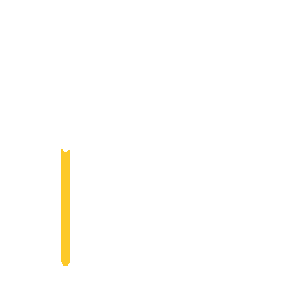 wired-outline-469-flag-hover-pinch.gif