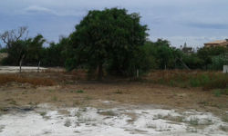 parcheggio all'aperto