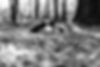 BUIS_Sabrina_Pompe_0032_NorbertPasson_20