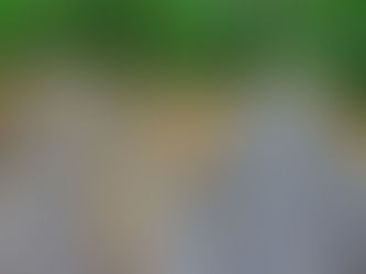 Make decisions that serve you well