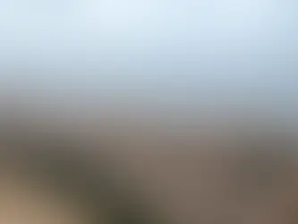 Mohammed bin Rashid naredio treći zračni most s humanitarnom pomoći Libiji