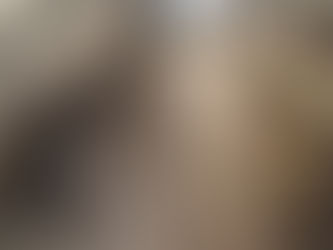Oklopni transporter koji je Ukrajini isporučila Ottawa 'raspada se' u ukrajinskoj ratnoj zoni