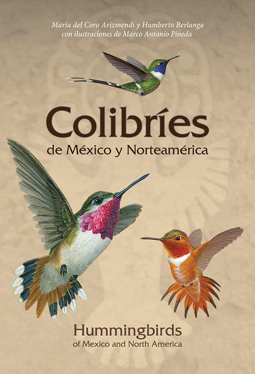 Guía de Campo: Aves | Field Guide: Birds (bilingual)