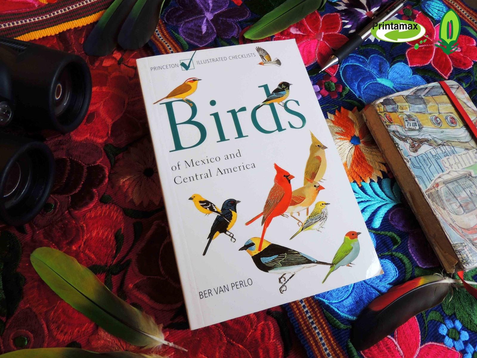 Guía de Campo: Aves | Field Guide: Birds