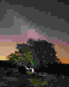 visuals by Jake Brown