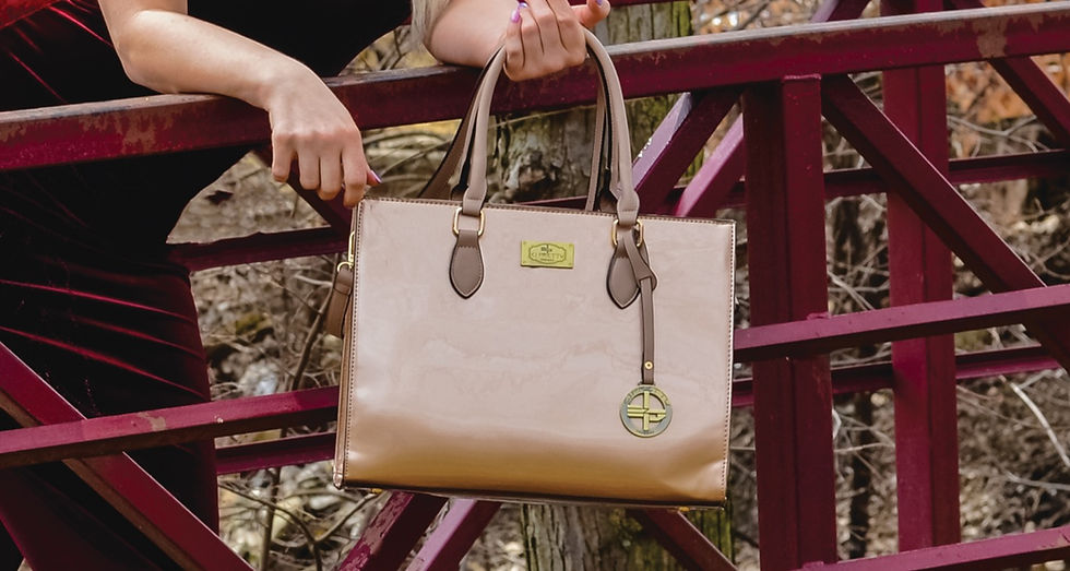 الصورة المصغرة: Luxury women bag.