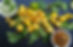 curried cauliflower_Original.jpeg