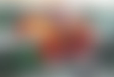 reproducción del pez betta