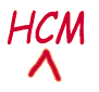 Trinity Advisors HCM Technology Consultants