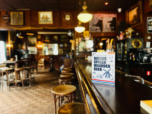 Het nieuwe spreekwoordenboek bij Editie NL 📺