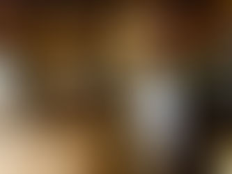 Het nieuwe spreekwoordenboek bij Editie NL 📺